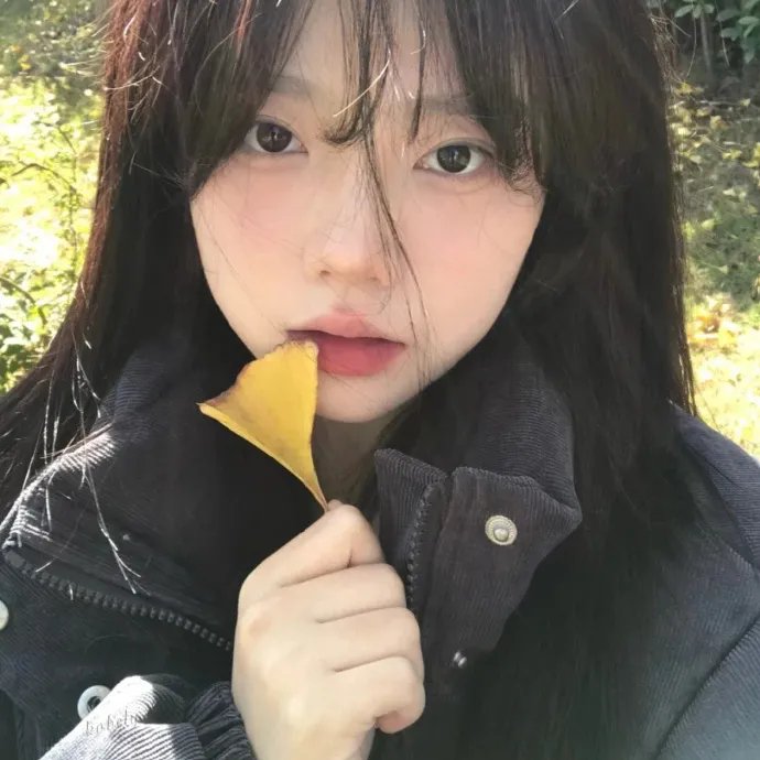 影子军队